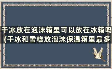 干冰放在泡沫箱里可以放在冰箱吗(干冰和雪糕放泡沫保温箱里最多可以放几天)