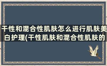 干性和混合性肌肤怎么进行肌肤美白护理(干性肌肤和混合性肌肤的区别)