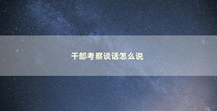 干部考察谈话怎么说