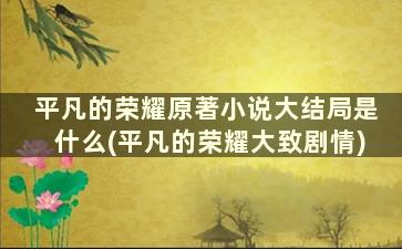 平凡的荣耀原著小说大结局是什么(平凡的荣耀大致剧情)