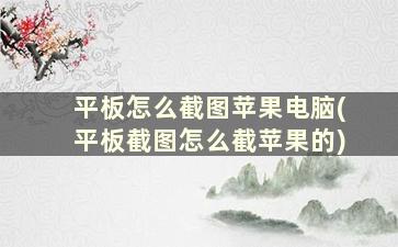 平板怎么截图苹果电脑(平板截图怎么截苹果的)