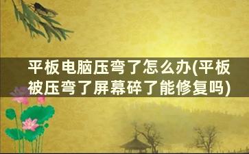 平板电脑压弯了怎么办(平板被压弯了屏幕碎了能修复吗)