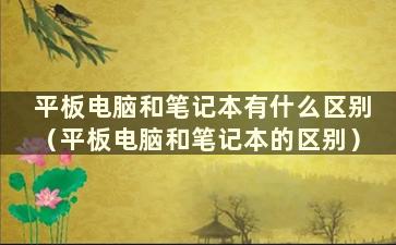 平板电脑和笔记本有什么区别（平板电脑和笔记本的区别）