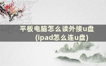 平板电脑怎么读外接u盘(ipad怎么连u盘)