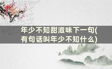 年少不知甜滋味下一句(有句话叫年少不知什么)