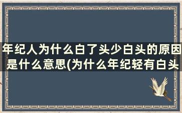 年纪人为什么白了头少白头的原因是什么意思(为什么年纪轻有白头发)