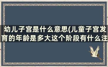 幼儿子宫是什么意思(儿童子宫发育的年龄是多大这个阶段有什么注意的)