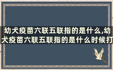 幼犬疫苗六联五联指的是什么,幼犬疫苗六联五联指的是什么时候打