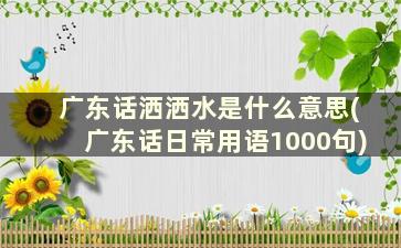 广东话洒洒水是什么意思(广东话日常用语1000句)