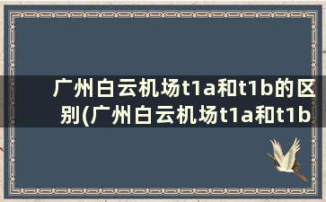 广州白云机场t1a和t1b的区别(广州白云机场t1a和t1b的区别在哪里)