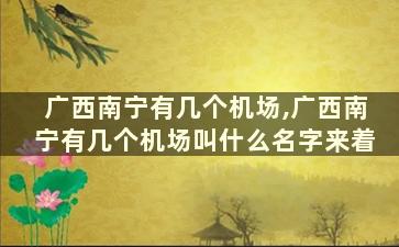 广西南宁有几个机场,广西南宁有几个机场叫什么名字来着