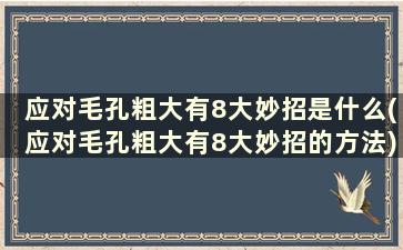 应对毛孔粗大有8大妙招是什么(应对毛孔粗大有8大妙招的方法)