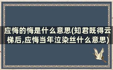 应悔的悔是什么意思(知君既得云梯后,应悔当年泣染丝什么意思)