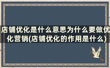 店铺优化是什么意思为什么要做优化营销(店铺优化的作用是什么)