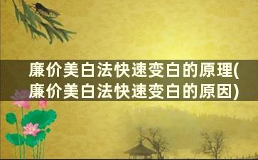 廉价美白法快速变白的原理(廉价美白法快速变白的原因)