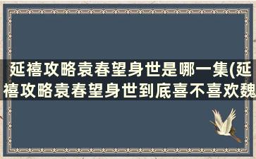 延禧攻略袁春望身世是哪一集(延禧攻略袁春望身世到底喜不喜欢魏璎珞)