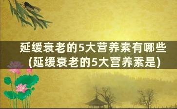 延缓衰老的5大营养素有哪些(延缓衰老的5大营养素是)