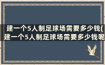 建一个5人制足球场需要多少钱(建一个5人制足球场需要多少钱呢)