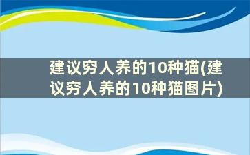 建议穷人养的10种猫(建议穷人养的10种猫图片)