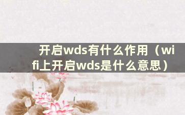 开启wds有什么作用（wifi上开启wds是什么意思）