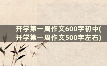 开学第一周作文600字初中(开学第一周作文500字左右)