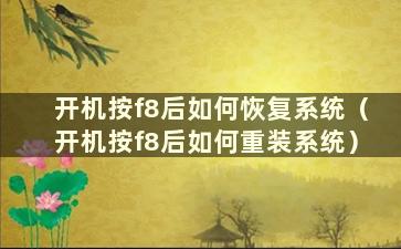 开机按f8后如何恢复系统（开机按f8后如何重装系统）