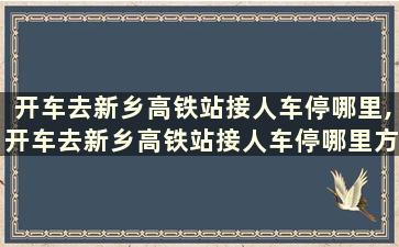 开车去新乡高铁站接人车停哪里,开车去新乡高铁站接人车停哪里方便