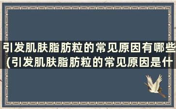 引发肌肤脂肪粒的常见原因有哪些(引发肌肤脂肪粒的常见原因是什么)