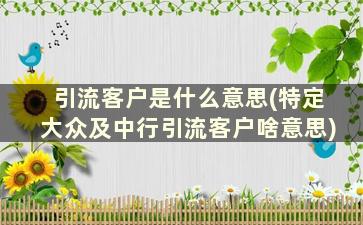 引流客户是什么意思(特定大众及中行引流客户啥意思)