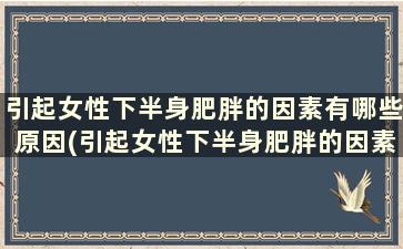 引起女性下半身肥胖的因素有哪些原因(引起女性下半身肥胖的因素有哪些症状)