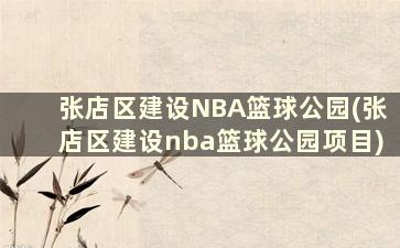 张店区建设NBA篮球公园(张店区建设nba篮球公园项目)