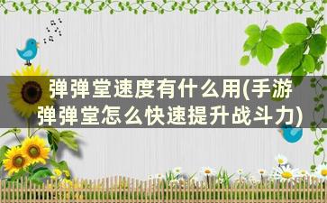 弹弹堂速度有什么用(手游弹弹堂怎么快速提升战斗力)