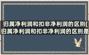 归属净利润和扣非净利润的区别(归属净利润和扣非净利润的区别是什么)