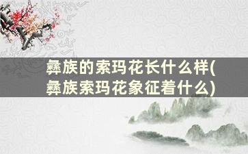 彝族的索玛花长什么样(彝族索玛花象征着什么)