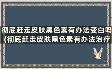 彻底赶走皮肤黑色素有办法变白吗(彻底赶走皮肤黑色素有办法治疗吗)