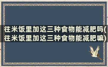 往米饭里加这三种食物能减肥吗(往米饭里加这三种食物能减肥嘛)