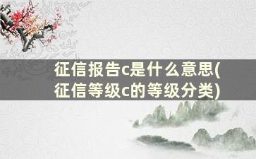 征信报告c是什么意思(征信等级c的等级分类)