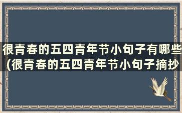 很青春的五四青年节小句子有哪些(很青春的五四青年节小句子摘抄)