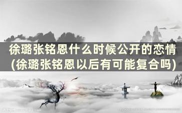 徐璐张铭恩什么时候公开的恋情(徐璐张铭恩以后有可能复合吗)