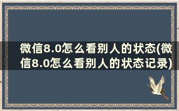 微信8.0怎么看别人的状态(微信8.0怎么看别人的状态记录)