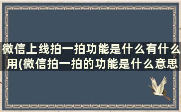 微信上线拍一拍功能是什么有什么用(微信拍一拍的功能是什么意思)