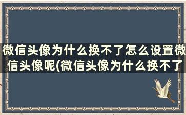 微信头像为什么换不了怎么设置微信头像呢(微信头像为什么换不了怎么设置微信头像不变)