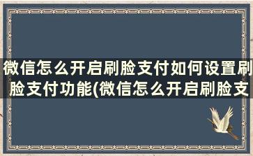 微信怎么开启刷脸支付如何设置刷脸支付功能(微信怎么开启刷脸支付如何设置刷脸支付方式)