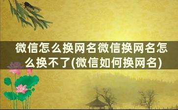 微信怎么换网名微信换网名怎么换不了(微信如何换网名)