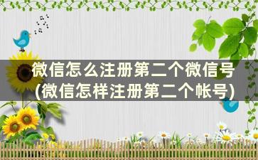 微信怎么注册第二个微信号(微信怎样注册第二个帐号)