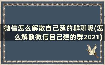 微信怎么解散自己建的群聊呢(怎么解散微信自己建的群2021)