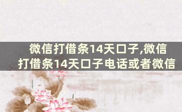 微信打借条14天口子,微信打借条14天口子电话或者微信