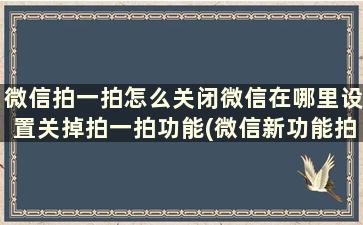 微信拍一拍怎么关闭微信在哪里设置关掉拍一拍功能(微信新功能拍一拍怎么关闭)