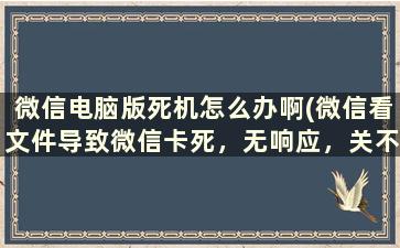 微信电脑版死机怎么办啊(微信看文件导致微信卡死，无响应，关不掉怎么处理)