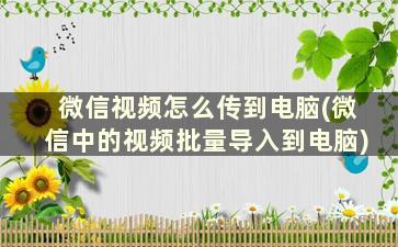 微信视频怎么传到电脑(微信中的视频批量导入到电脑)